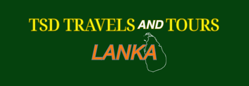 TSD Travels and Tours